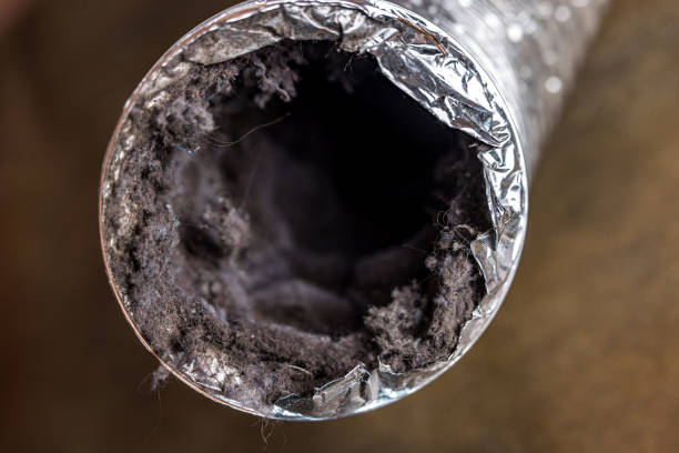 Best Local Air Duct Cleaning Services  in Durham, OR